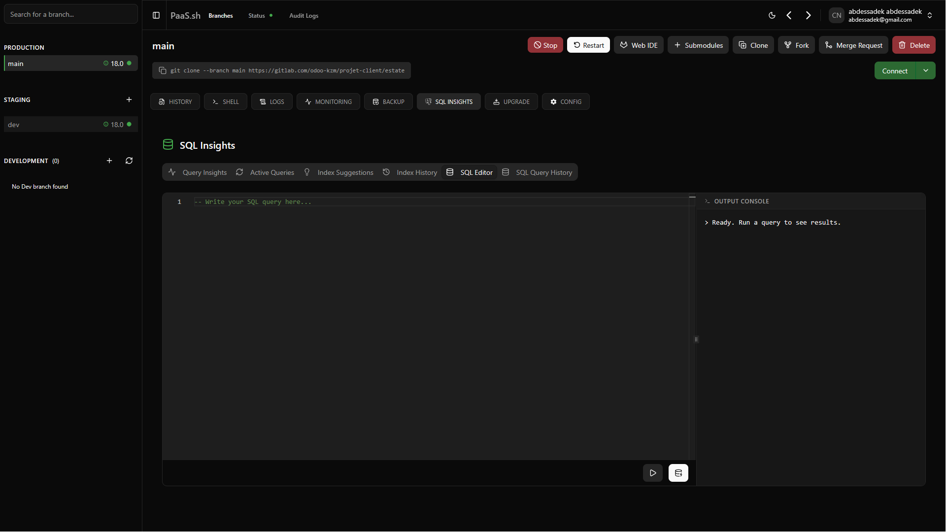 SQL Editor Interface